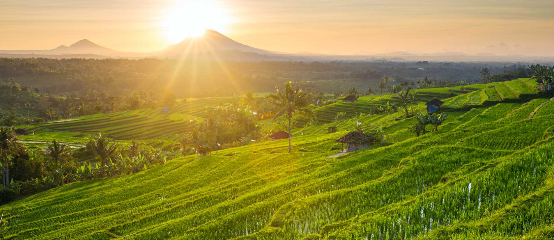 Travel With Confidence